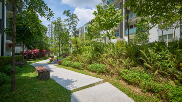 Les jardins en copropriété : havre de paix ou source de conflit ?