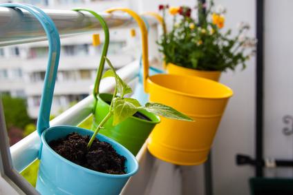 Bacs et pots à plantes : quel matériau choisir ?